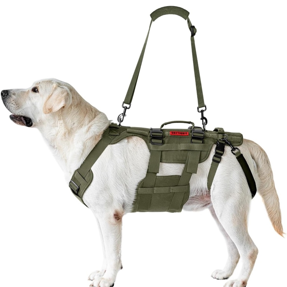 OneTigris Dog Lift Harness Green, Large)